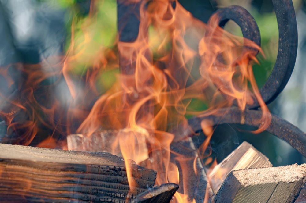 Photograph by Михаил Косолапов