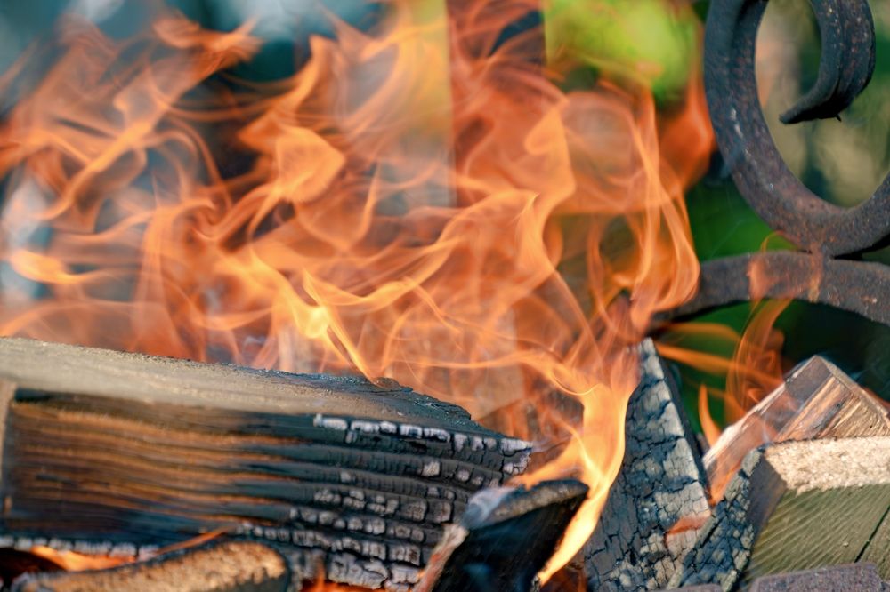 Photograph by Михаил Косолапов