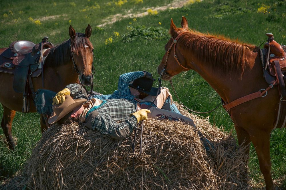 Фотография автора Полина Жаринова