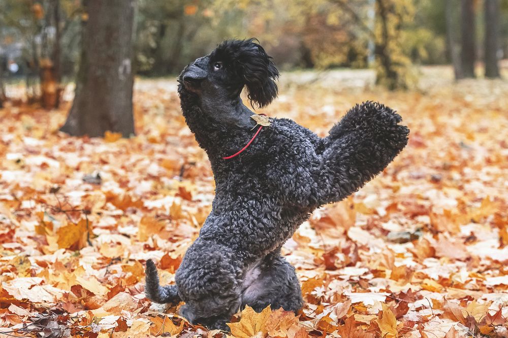 Photograph by Мария Новоселецкая