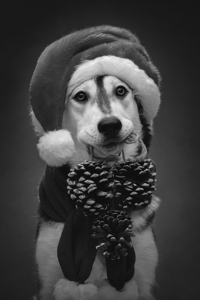 Photograph by Светлана Писарева