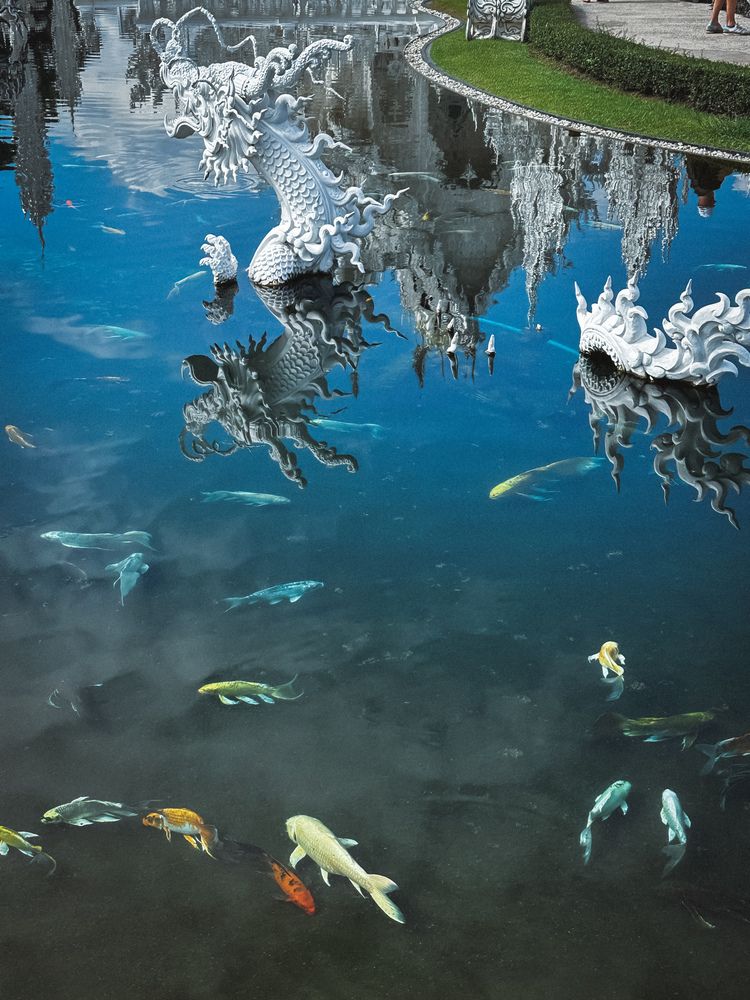 Photograph by Mikhail Smirnov