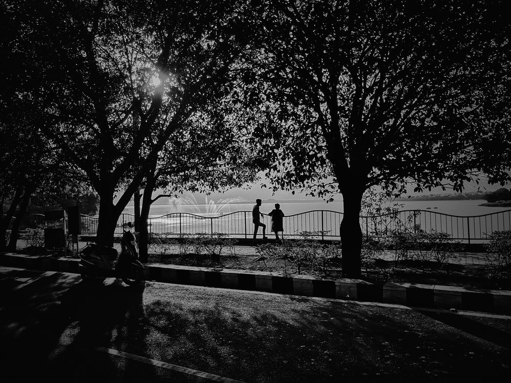 ' Love is in the Air '