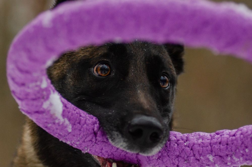 Photograph by Ольга Новикова