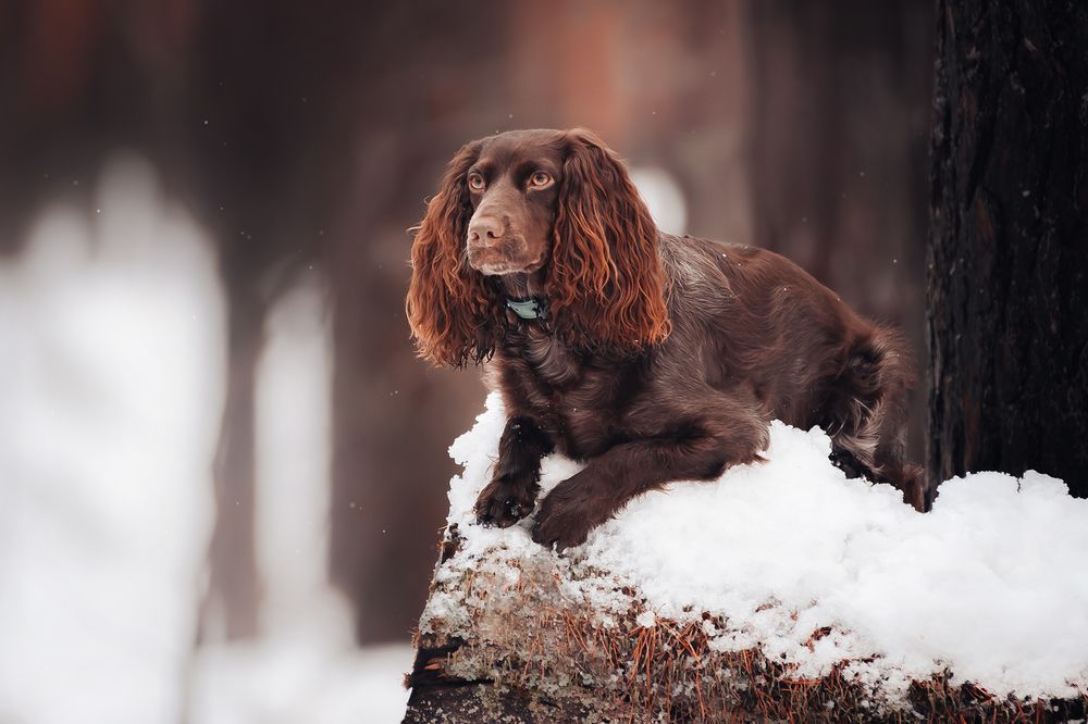 Фотография автора Андрей Красков