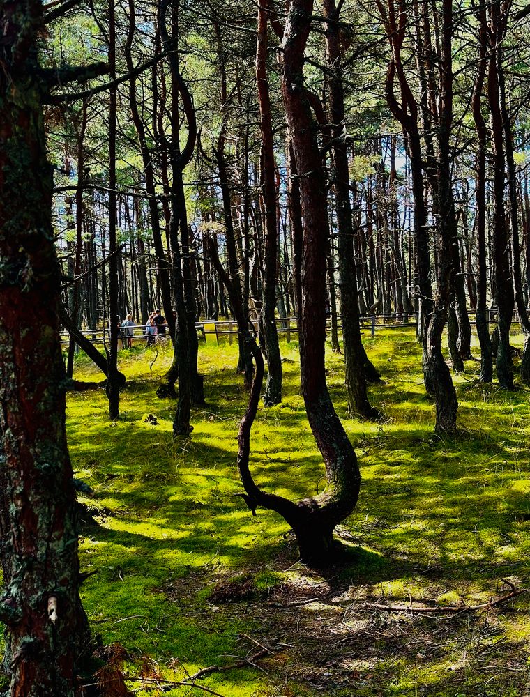 Photograph by Татьяна