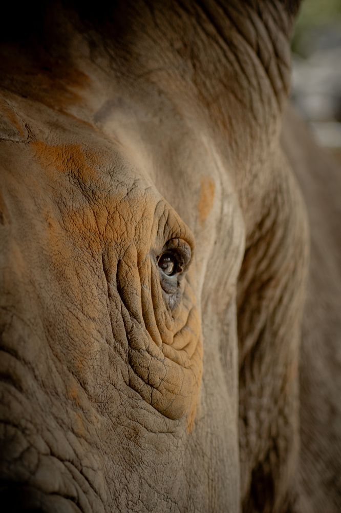 Photograph by Виктор