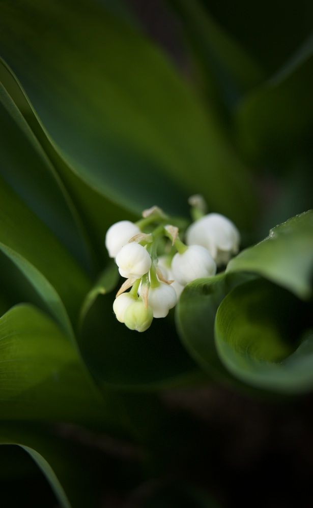 Photo #12022244
