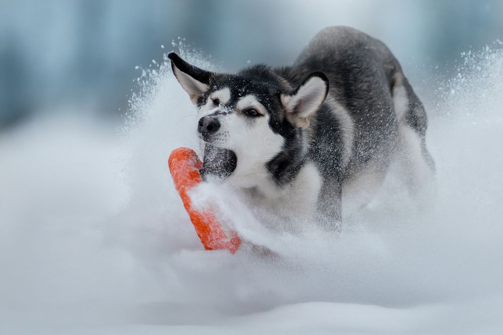 Photograph by Светлана Писарева