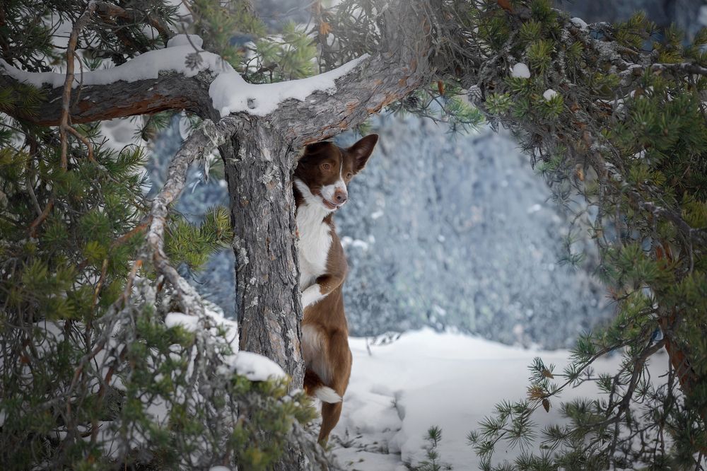 Photograph by Светлана Писарева