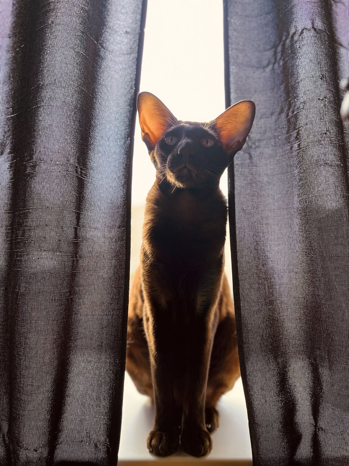 Photo #12022257
