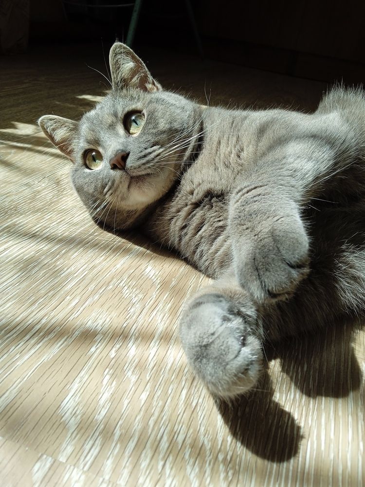 Photograph by Екатерина Алексеевна
