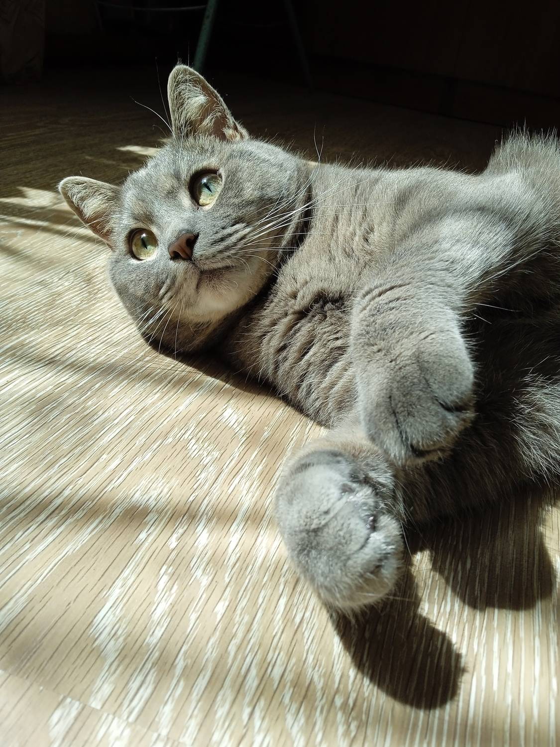 Photo #12022284