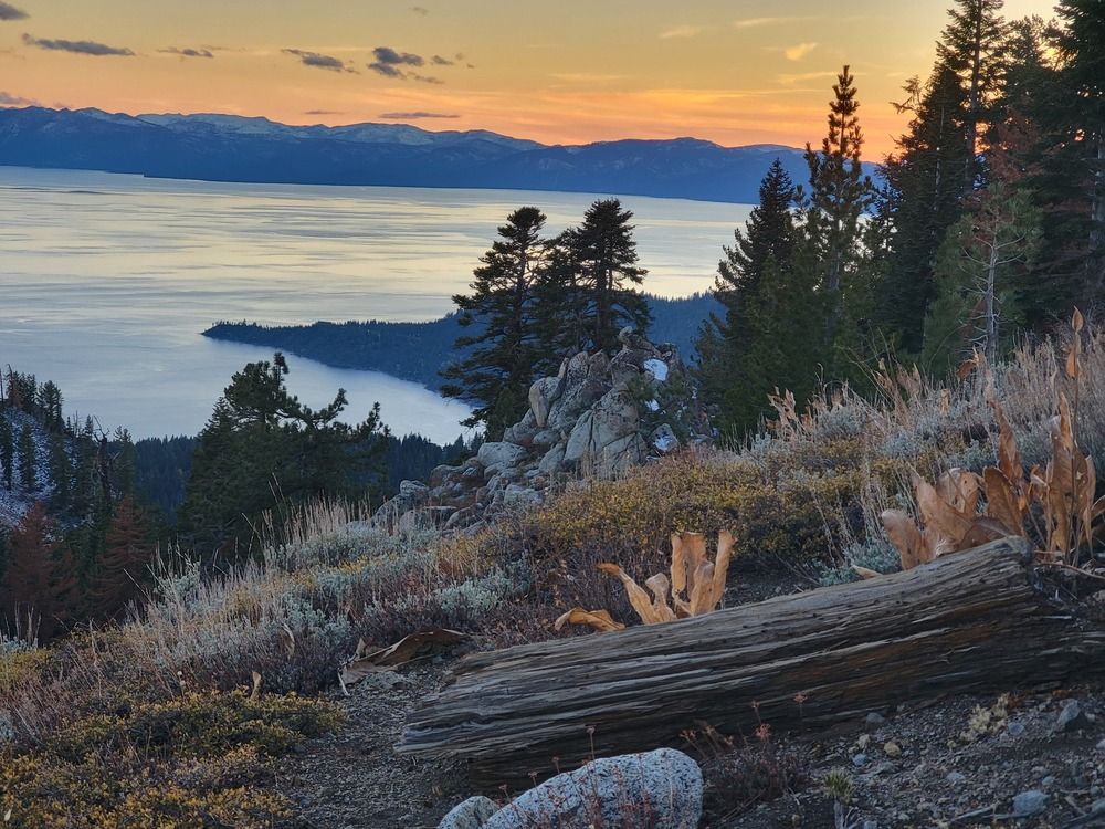 Photograph by Nina Gintings