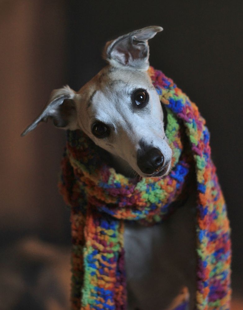 Photograph by Елизавета Болотникова