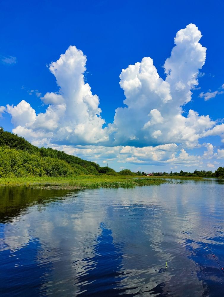 Фотография автора Светлана Смирнова