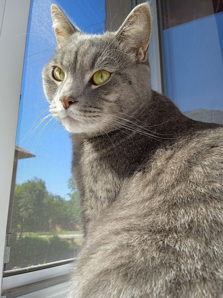 Photo #12022342
