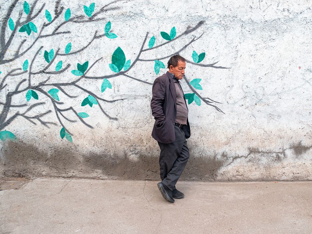 Фотография автора Omid Baneh