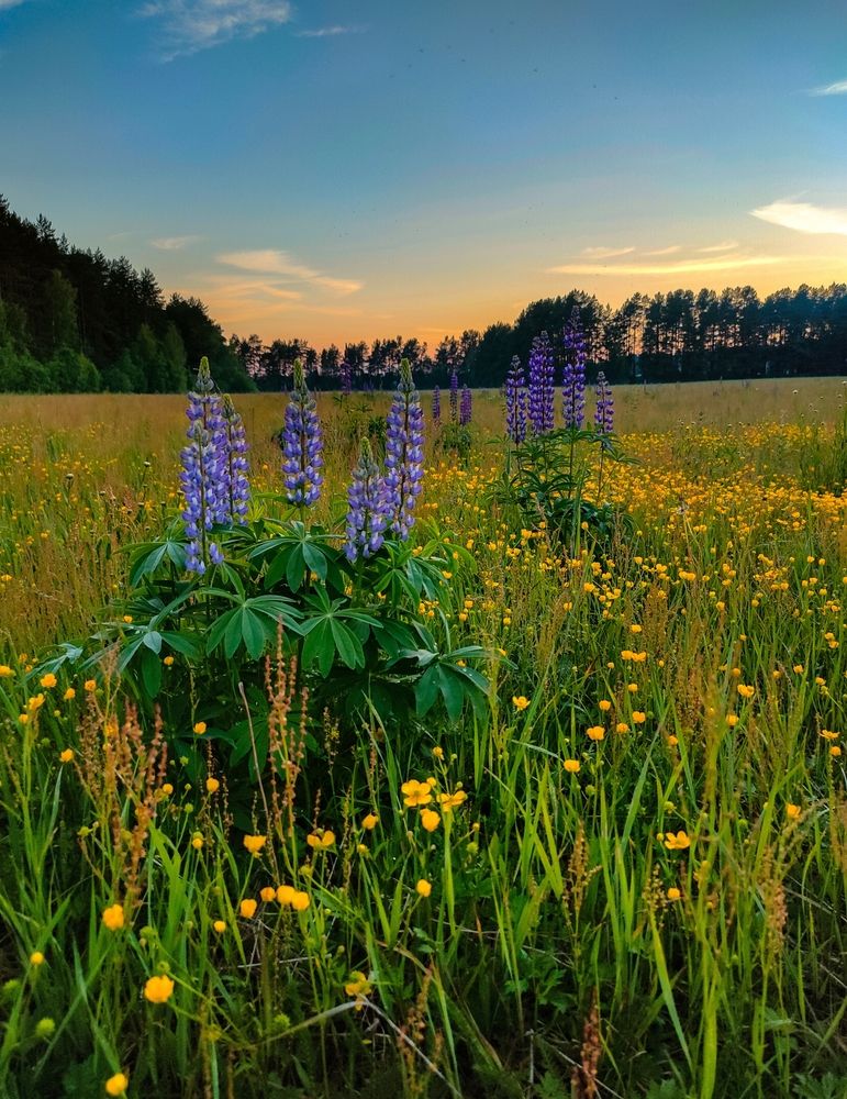 Фотография автора Светлана Смирнова