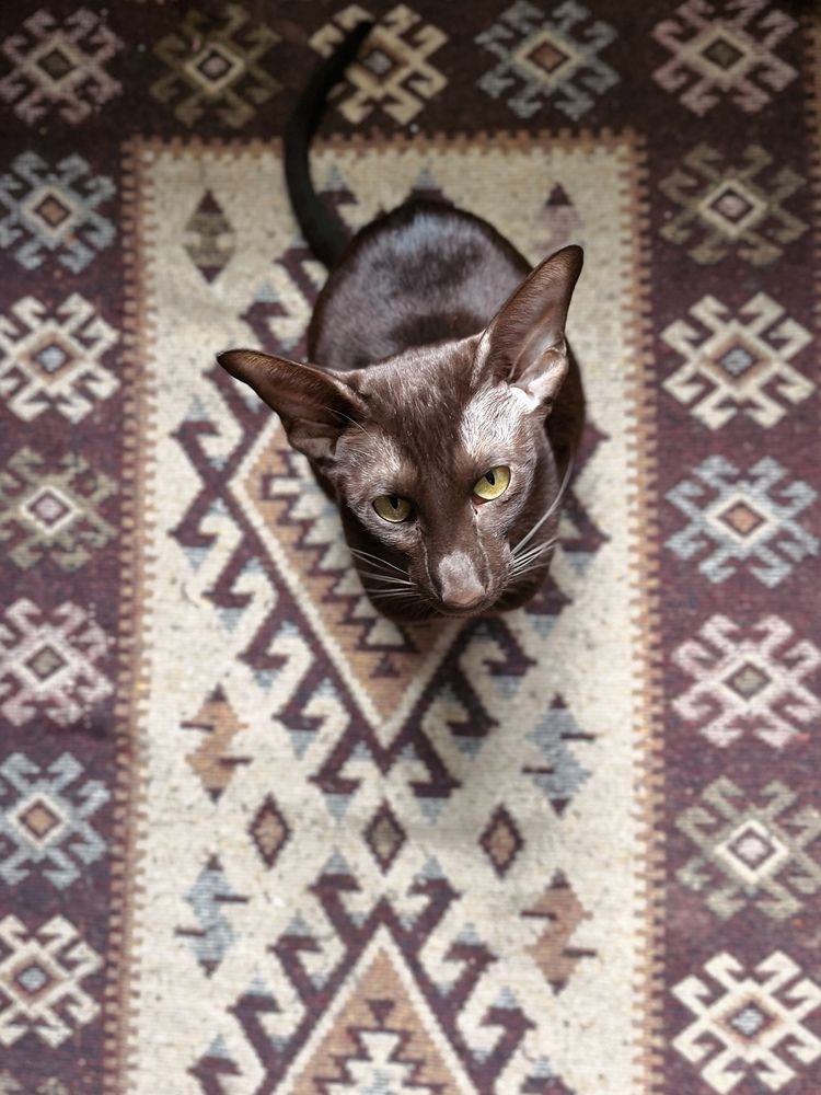 Фотография автора Мария Жукова