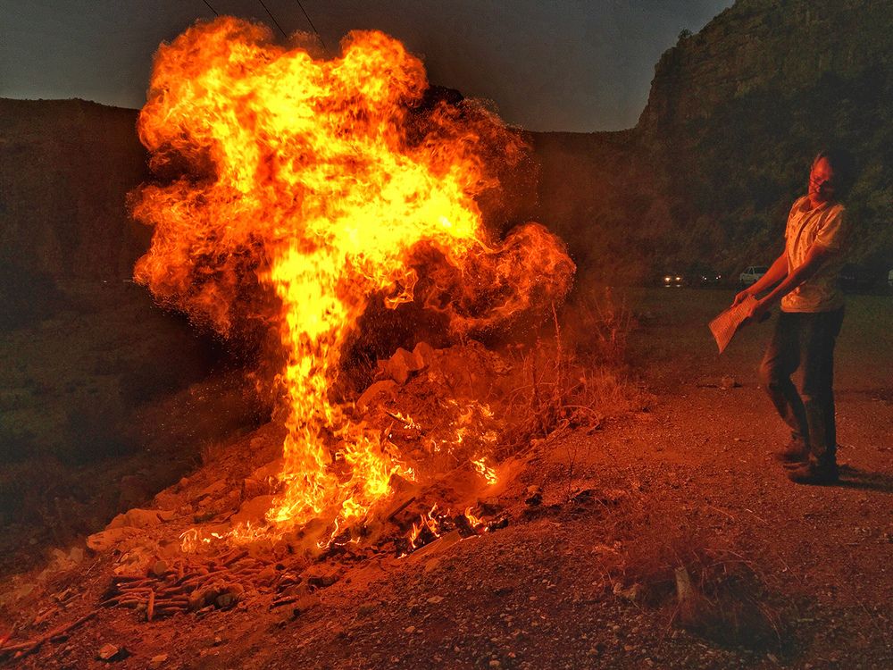 Фотография автора Omid Baneh