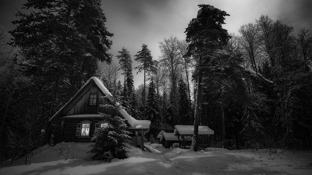 Photograph by Алексей Глухов