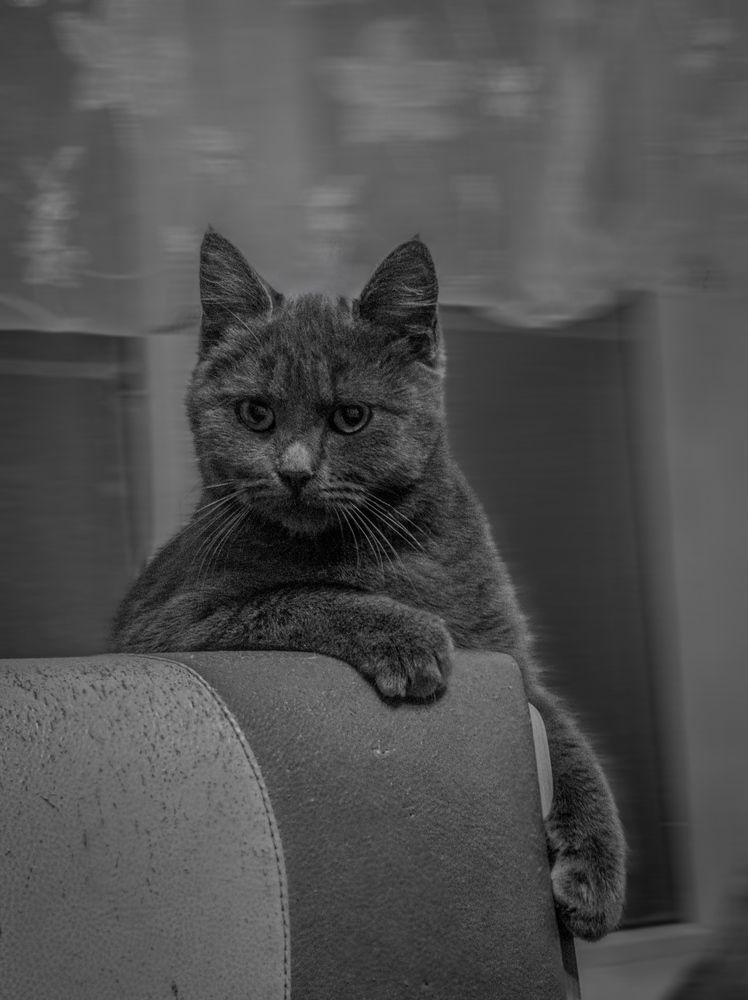 Photograph by Сергей Пыдык