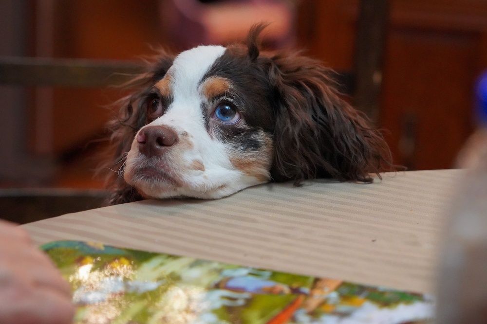 Photograph by Bulat Bayzuldin