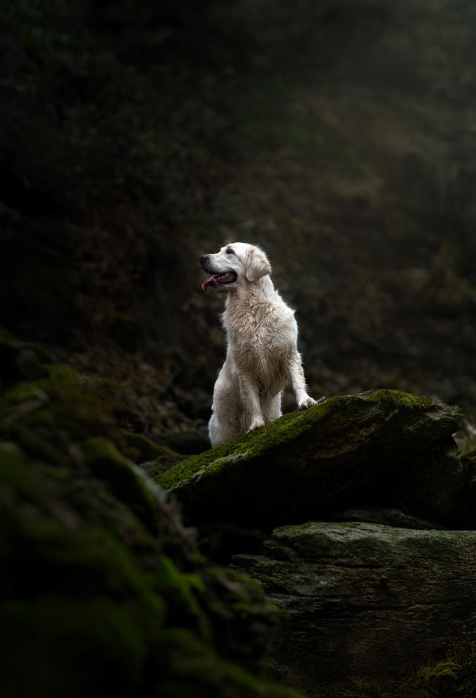 Photograph by Madalina Ungureanu