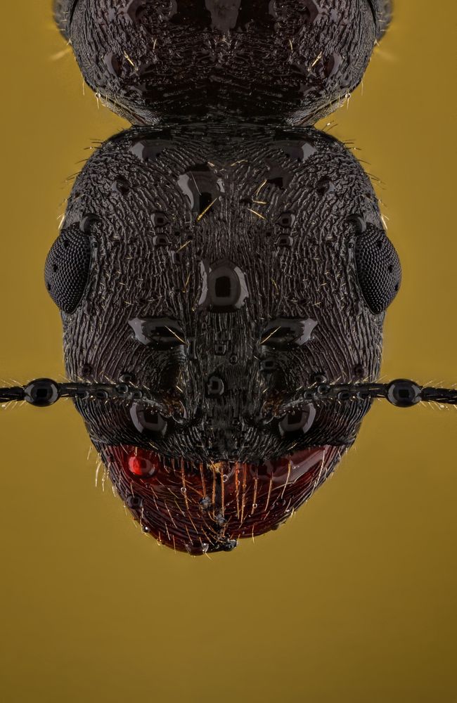 Photograph by Hocine Ferhat