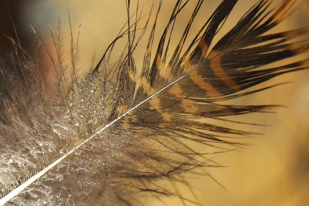 Фотография автора Альбина Хвастунова