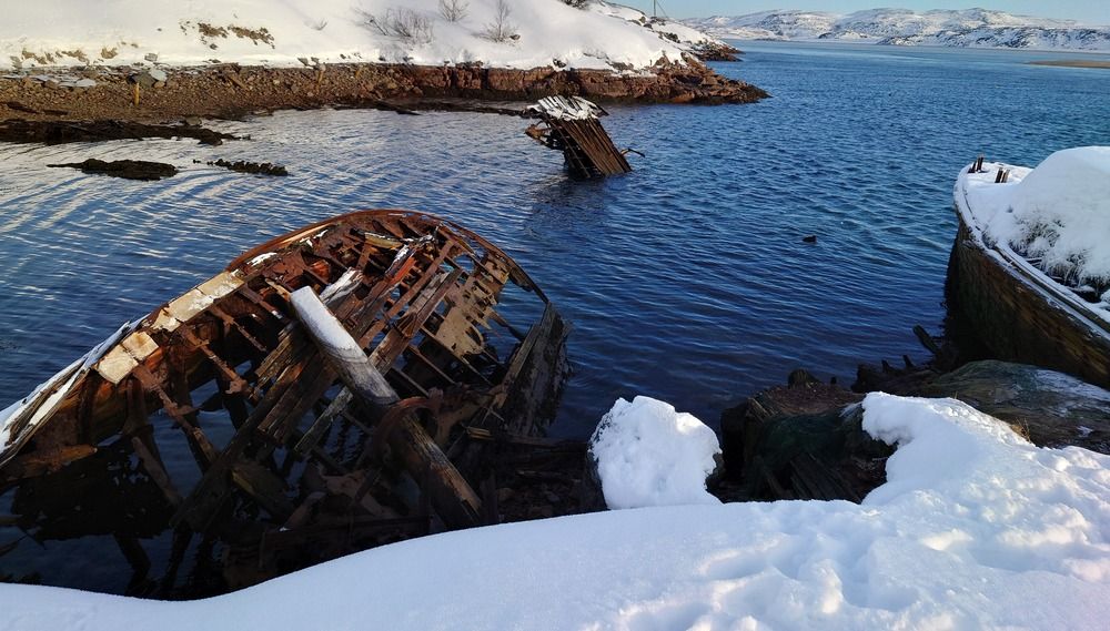 Photo #12022520