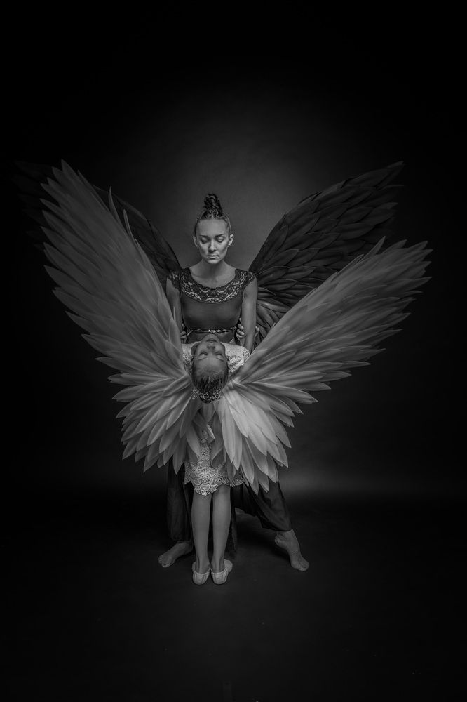 Фотография автора Robert Stein