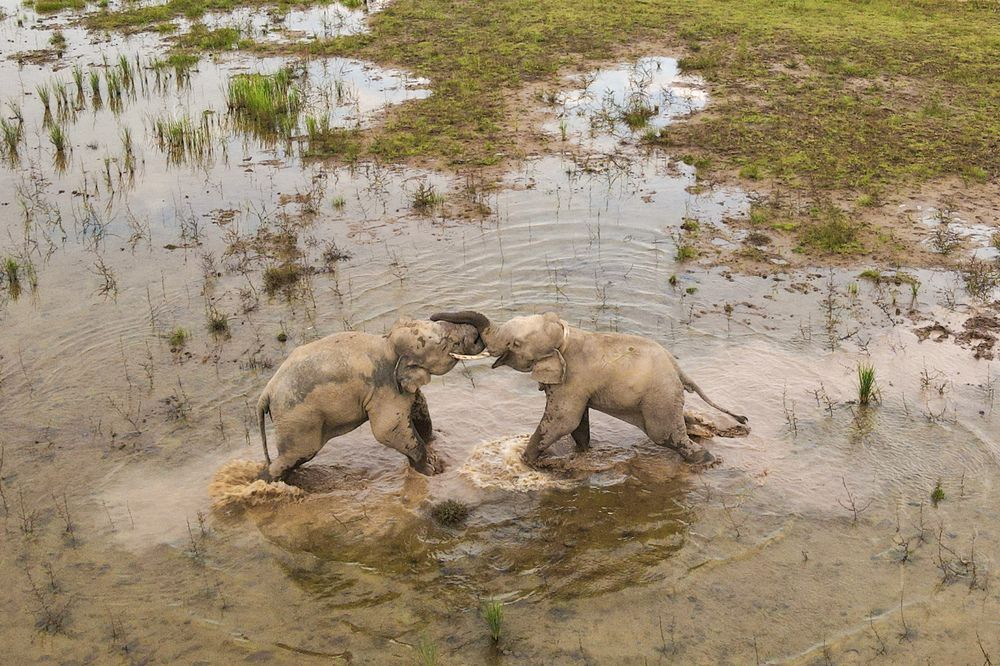 Photograph by Abdul sahil