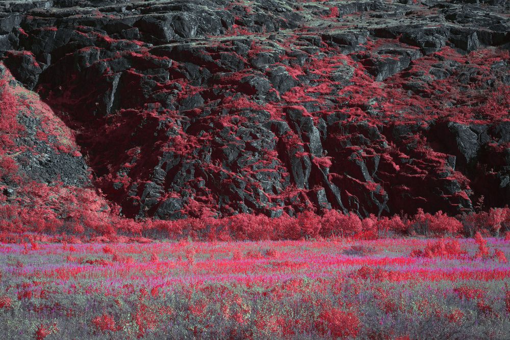 Photograph by Nikita