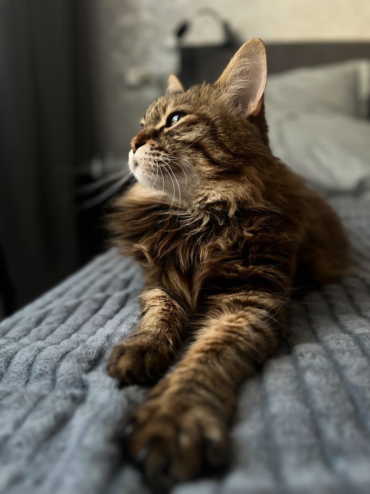 Photograph by Марина