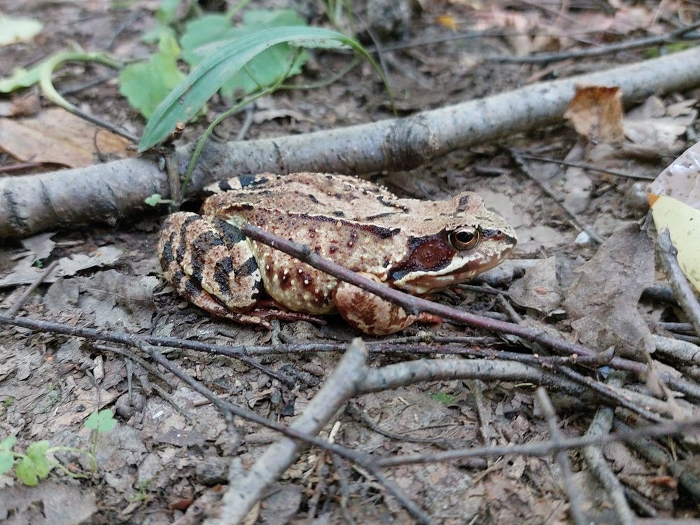 Photograph by Елена Ельчанинова