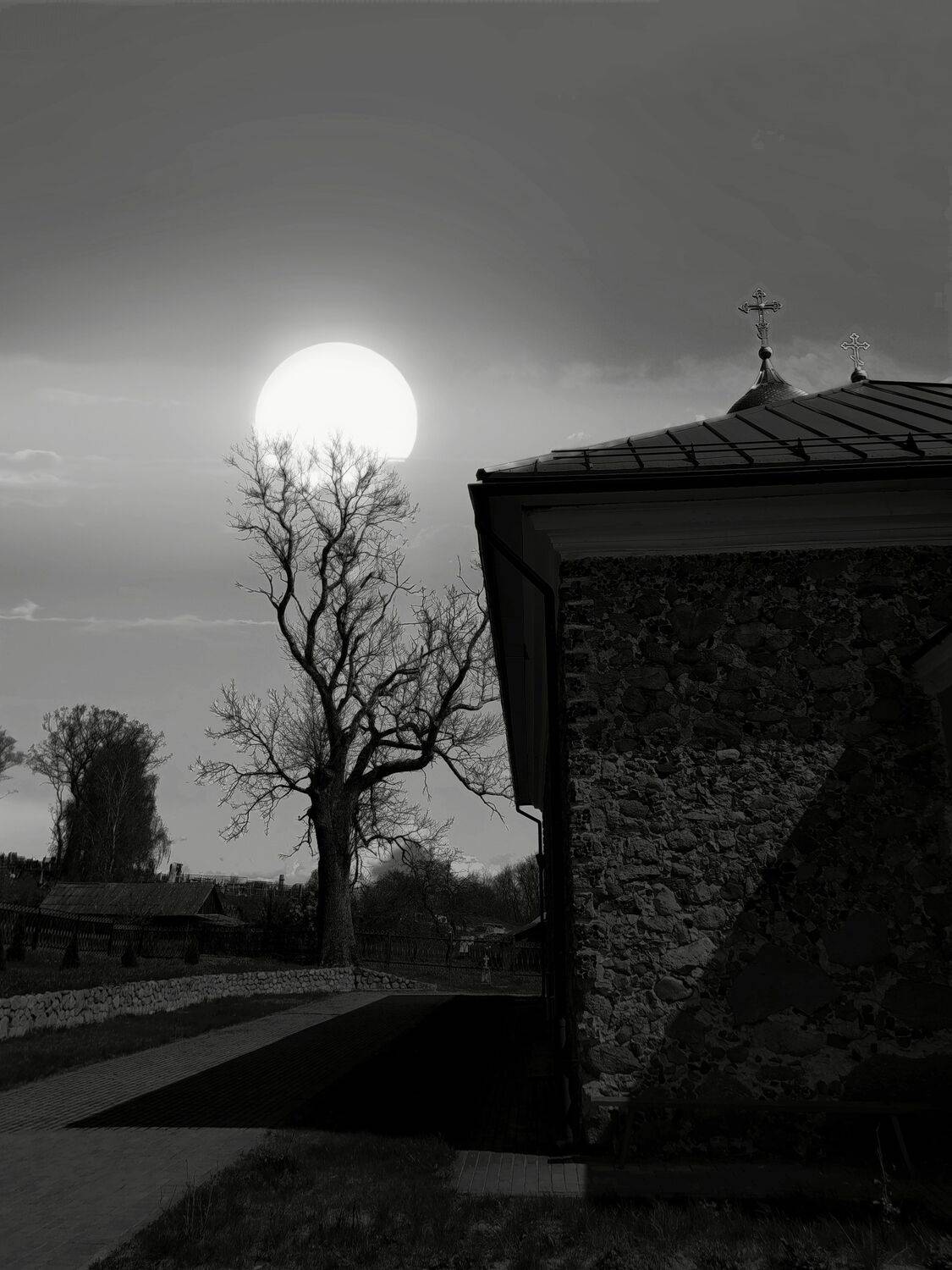 Photo #12022584