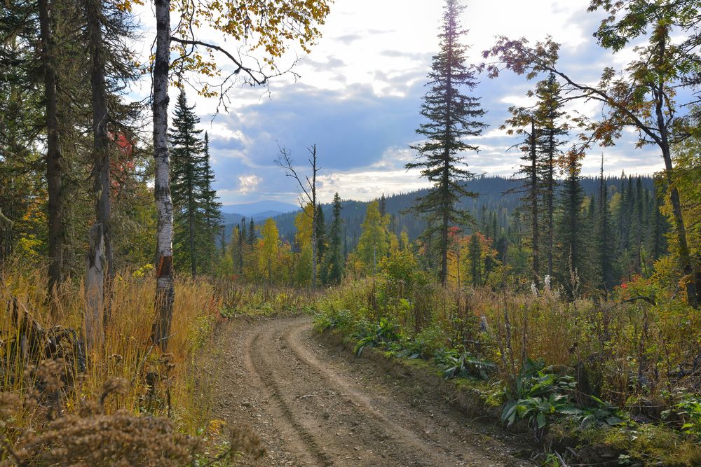 Photograph by Юрий Тимофеев