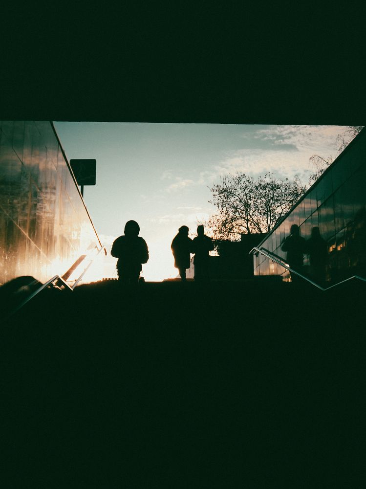 Photo #12022675