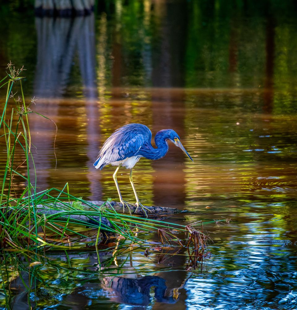 Photograph by Piotr Mickevic