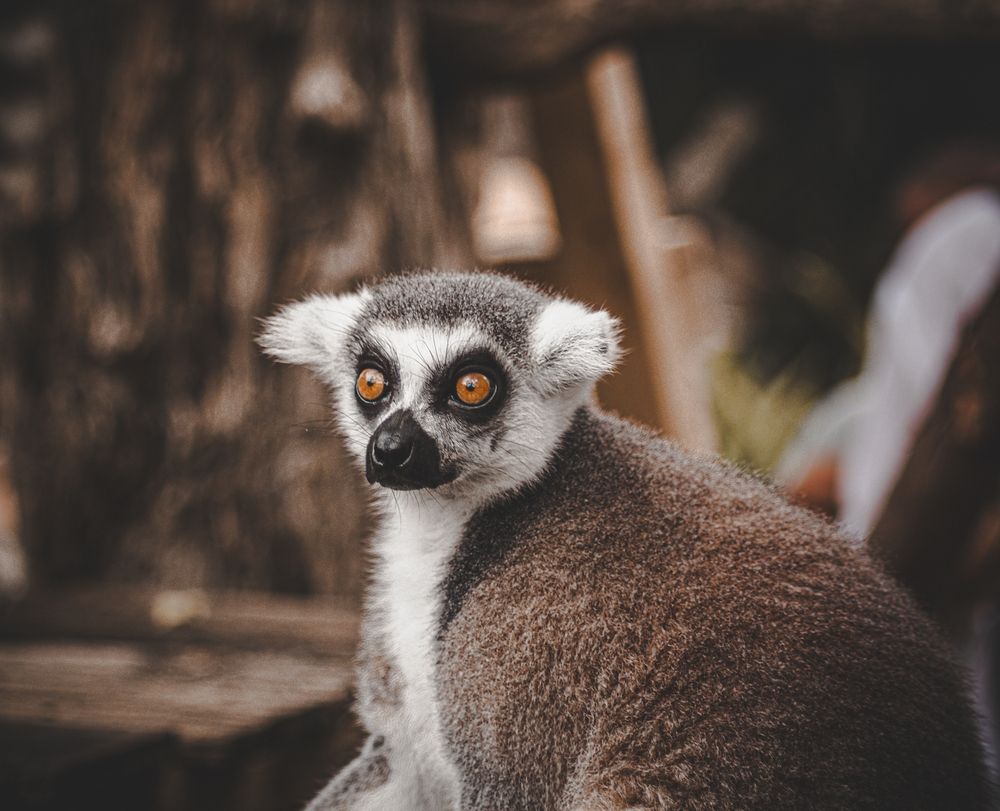 Photograph by Виктор