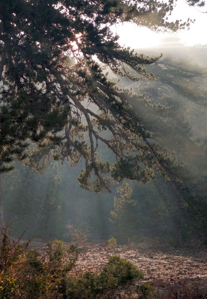 Photograph by George Voronetsky
