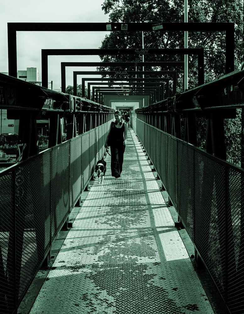 Photograph by Jose Maria Lavori