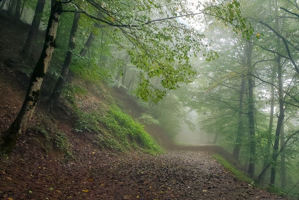 Photograph by amir shadpoor