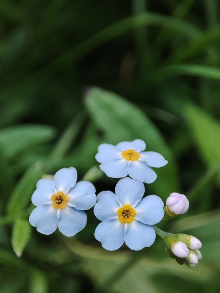 Photograph by Ирина К.