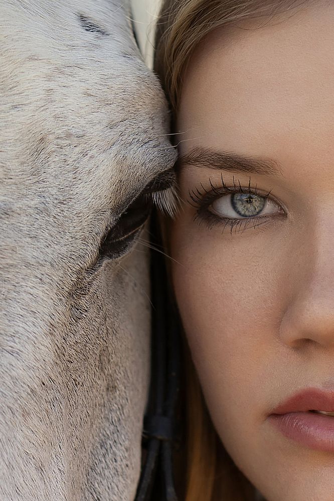 The Tale of a Horse and a Girl