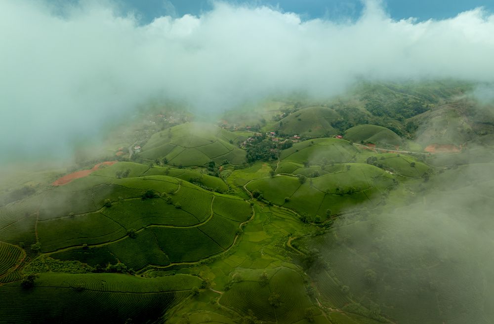 Photograph by Hanh P. T. Pham