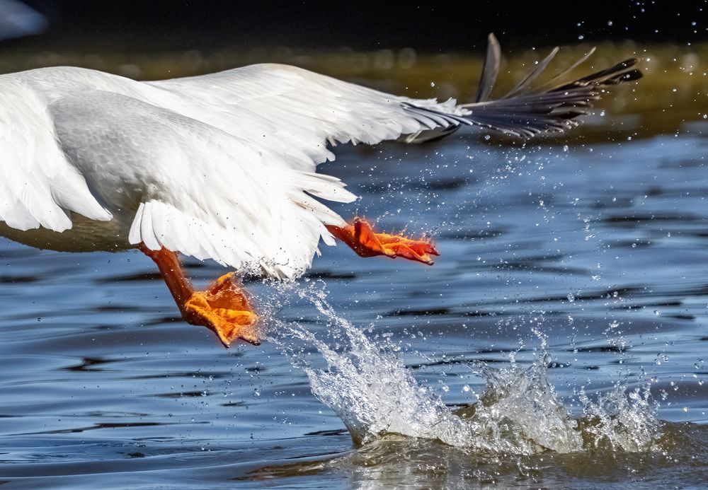 Photograph by Nitin Baste