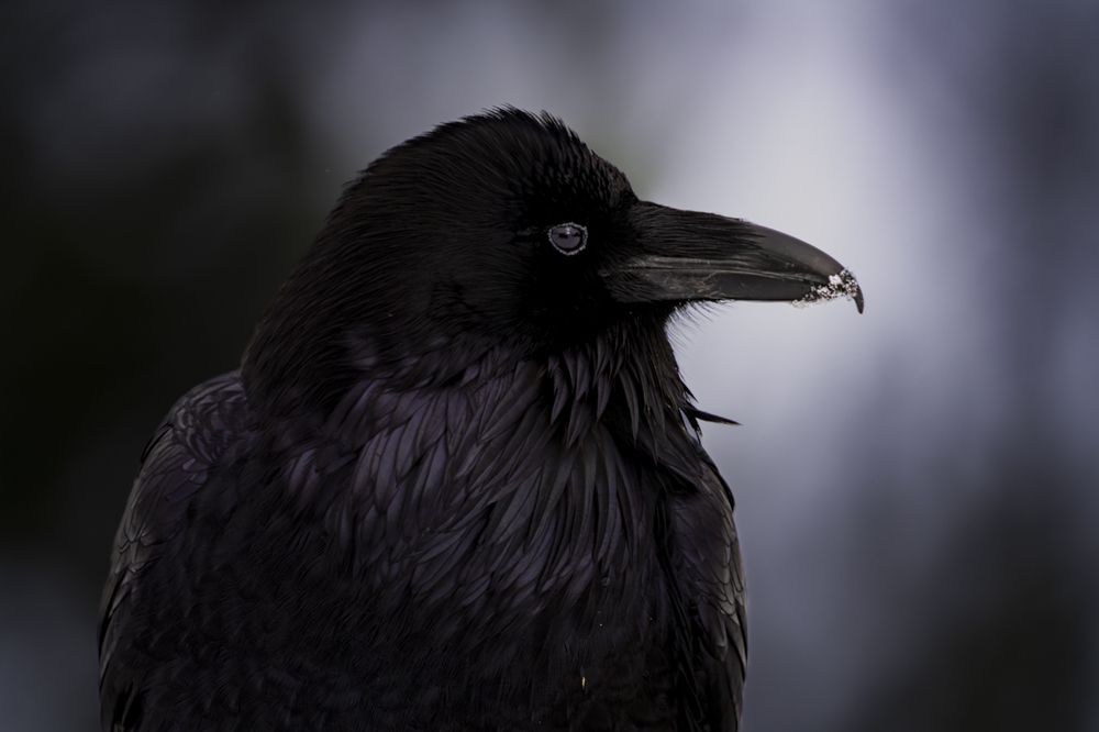 Photograph by Eduardo Esses